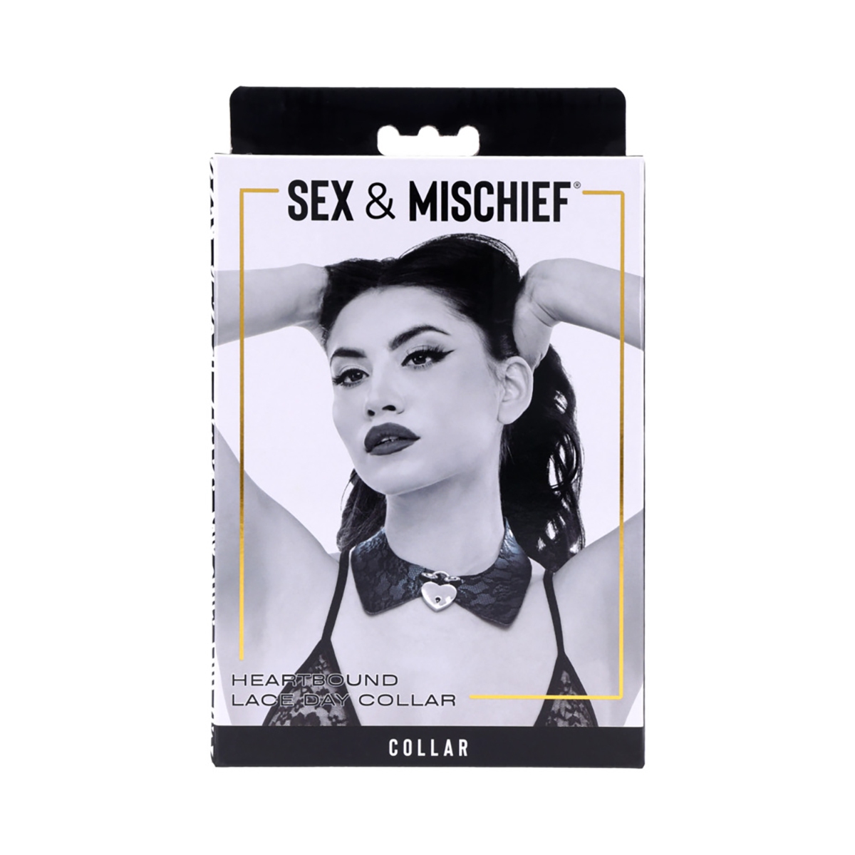 Buy  Sportsheets S&M Heartbound Lace Day Collar book for her.