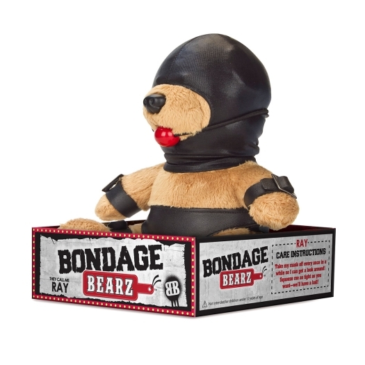 Buy  Bondage Bearz Gary Ball Gag book for her.