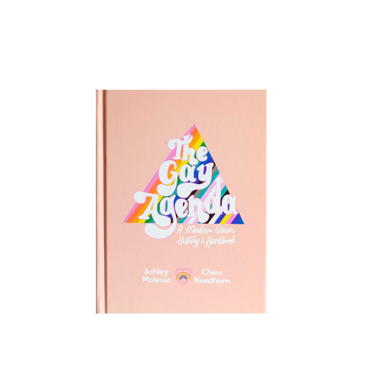 Buy A Modern Queer History & Handbook Gay Agenda book for her.