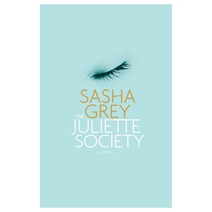 Buy The Mismade Girl Juliette Society 3 book for her.