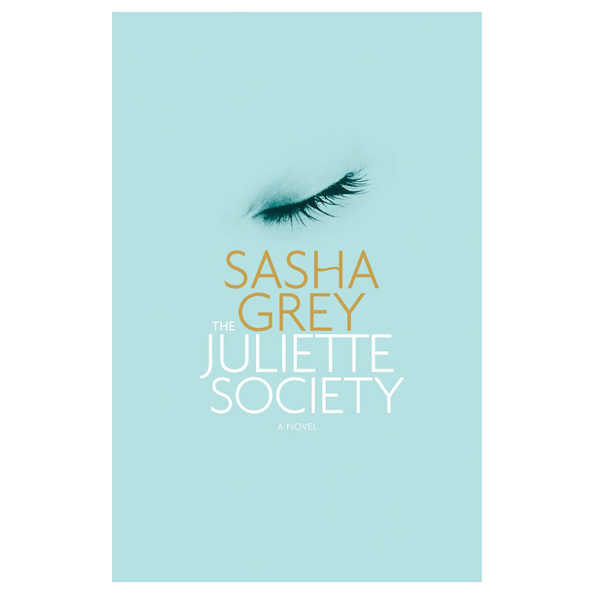 Buy The Mismade Girl Juliette Society 3 book for her.