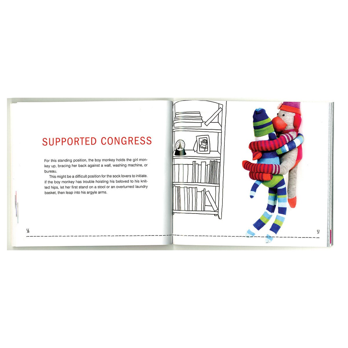 Buy Tantric Sex Positions for Your Naughty Little Monkey Sock Monkey Kama Sutra book for her.