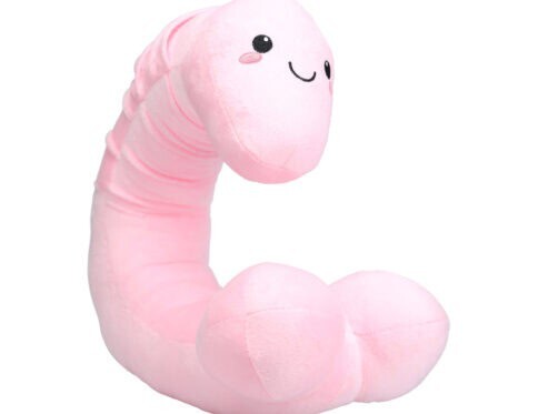 Buy  sli penis neck pillow plushie pink book for her.