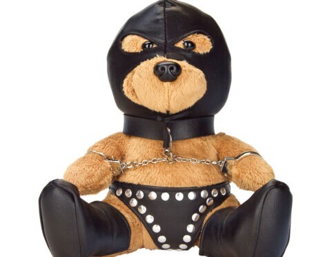 Buy  bondage bearz sal slave book for her.