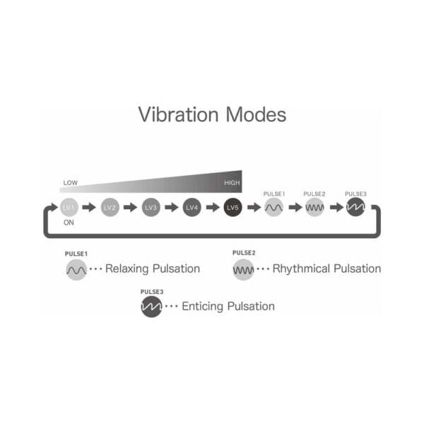 Buy a iroha+ KUSHI  Renewal vibrator.