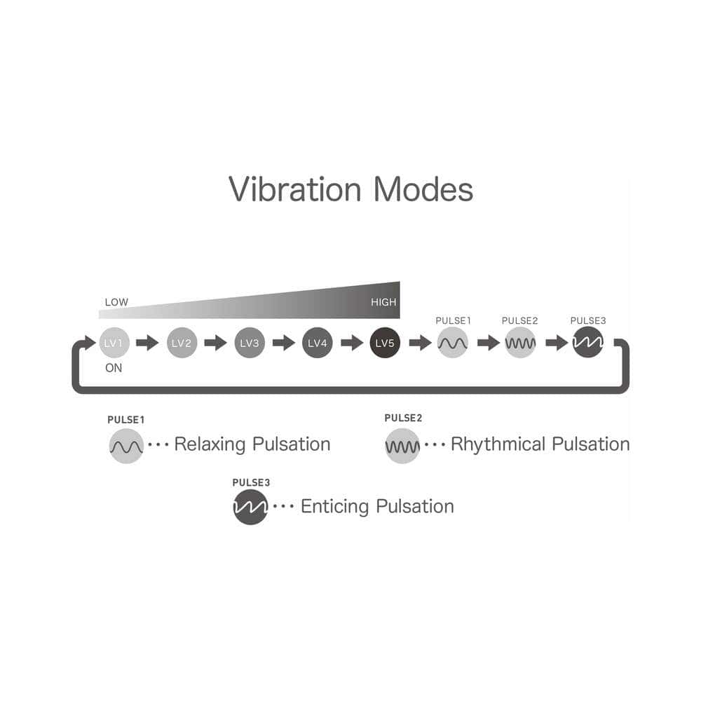 Buy a iroha+ KUSHI  Renewal vibrator.