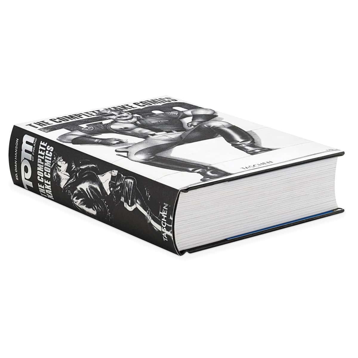 Buy  Tom of Finland  The Complete Kake Comics book for her.