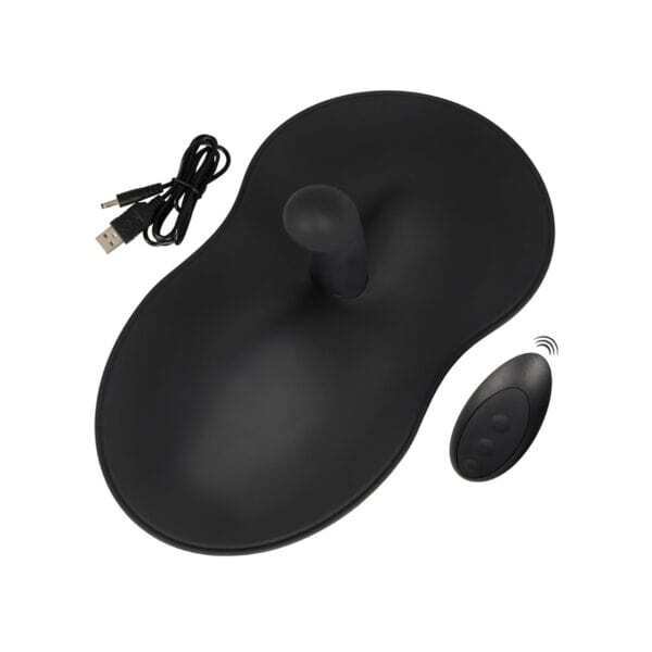 Buy a VibePad 3 RC with G-Spot vibrator.