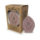 Buy  Eden's Vagina Candle Taupe book for her.