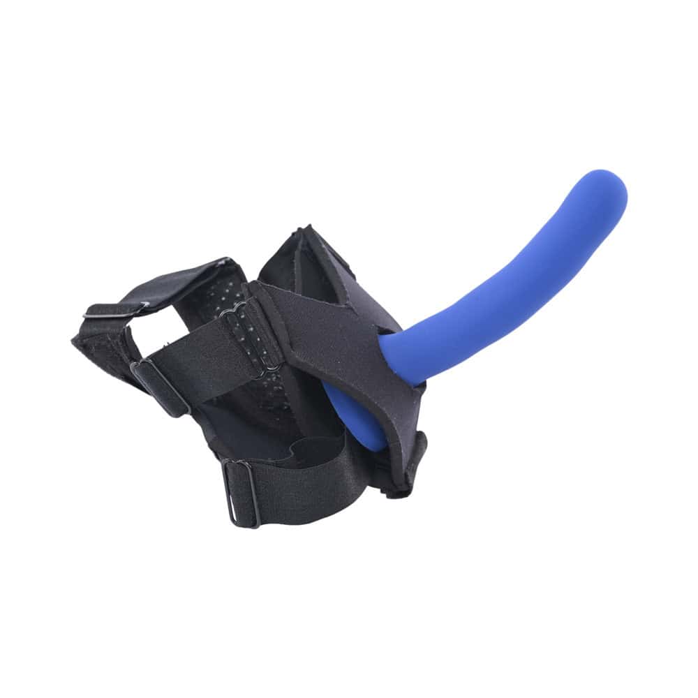 Buy  SS Pivot Flex Foot Strap On book for her.