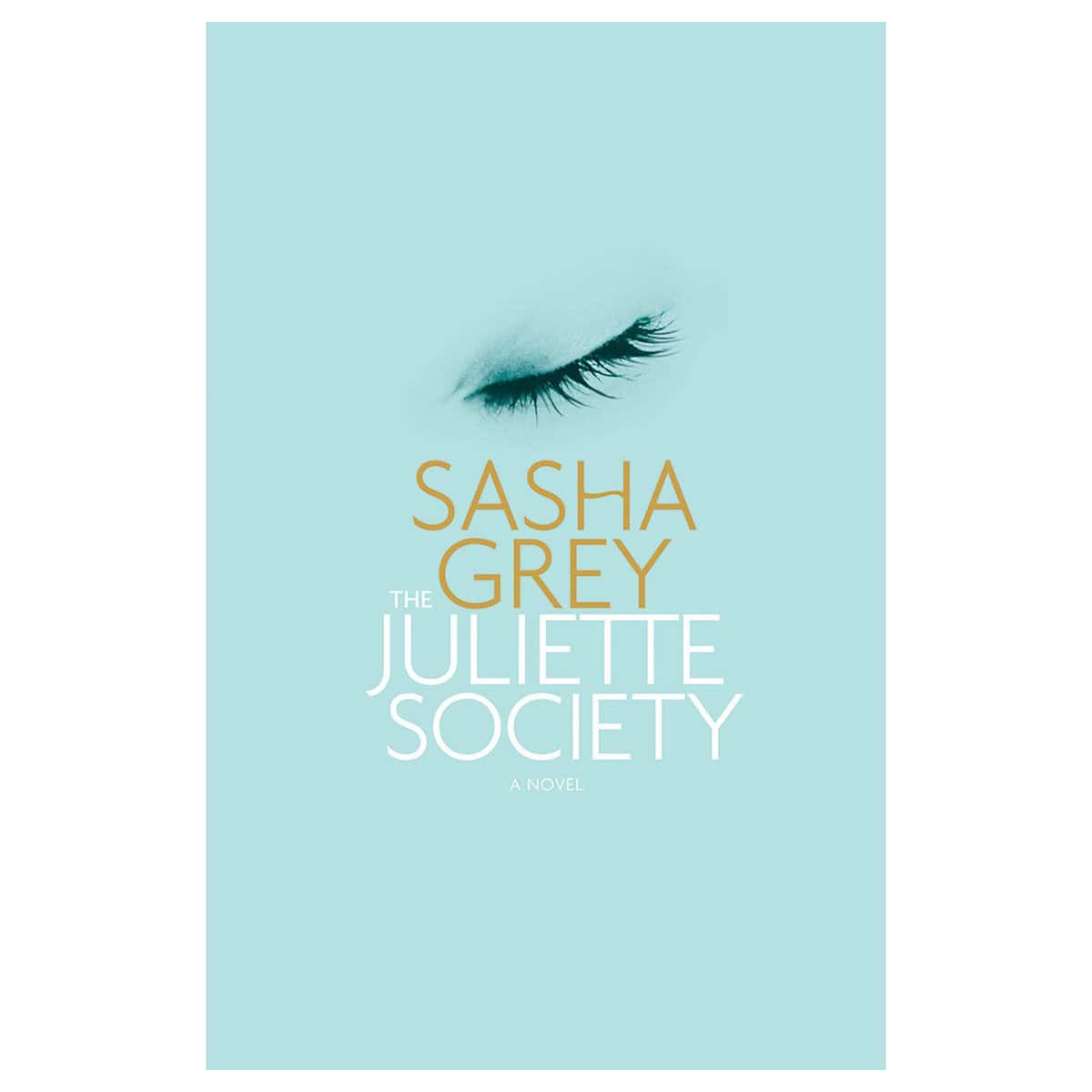 Buy The Mismade Girl Juliette Society 3 book for her.
