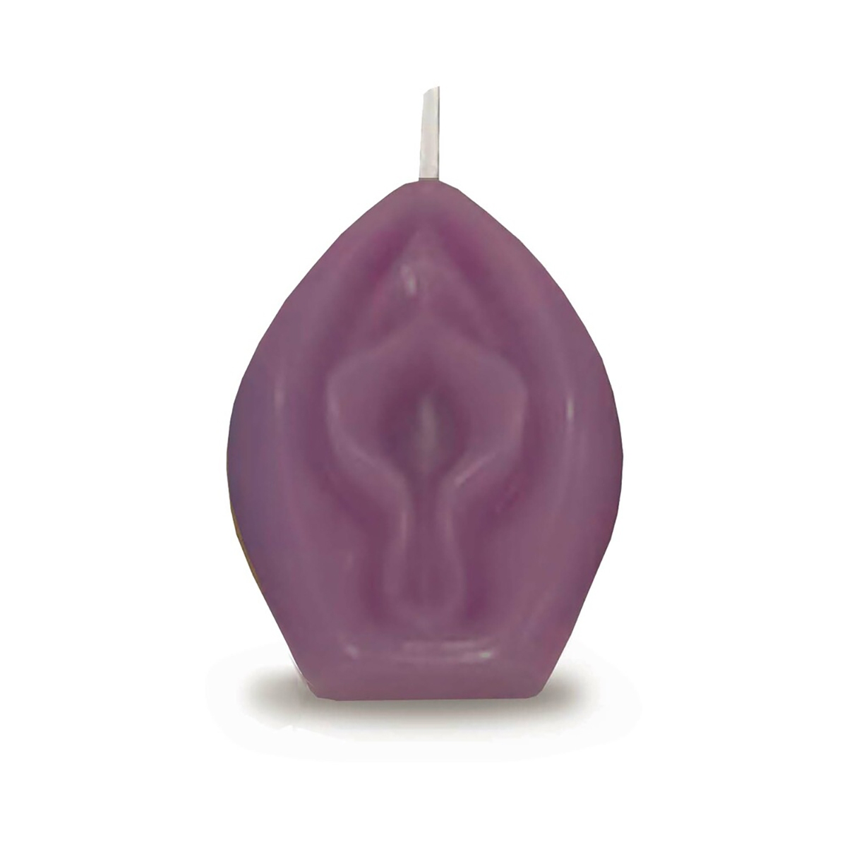 Buy  Eden's Vagina Candle Eggplant book for her.