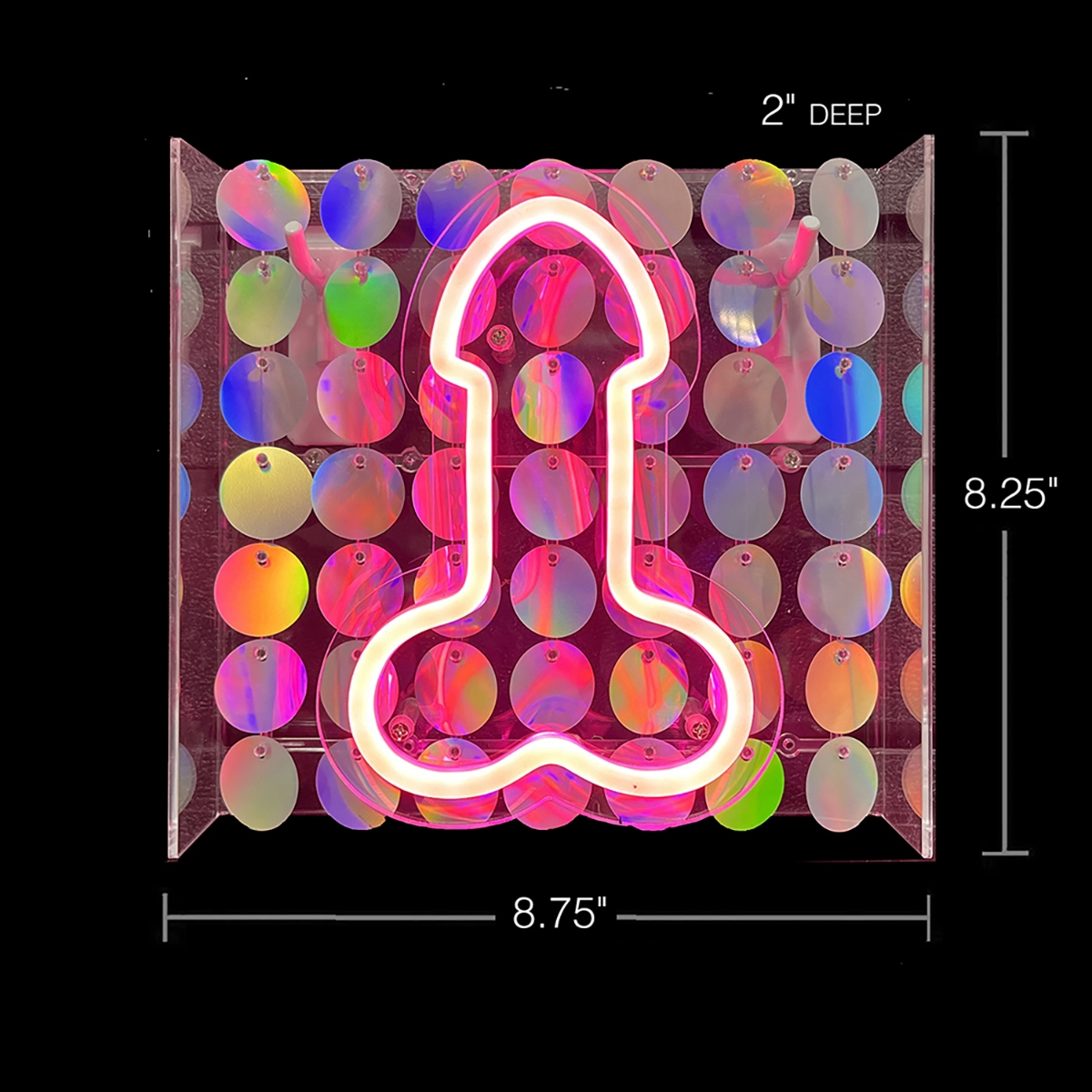 Buy  Neon Penis Light Up Sign book for her.