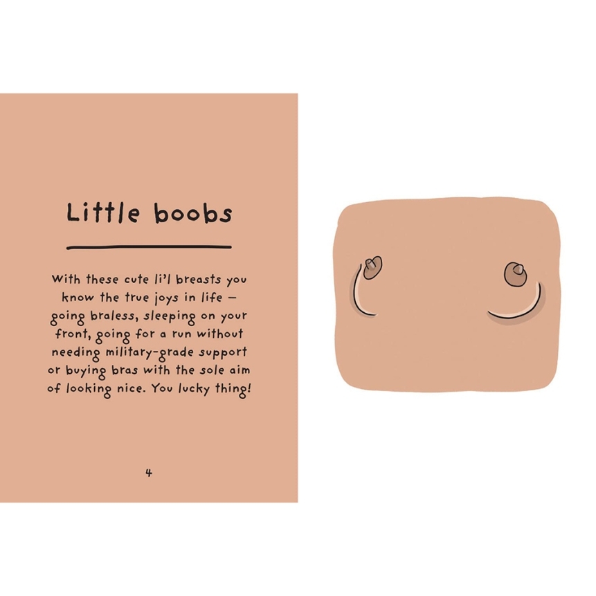 Buy  The Joy of Boobies: A Celebration book for her.