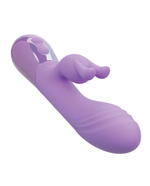 Buy Aura Aura Dual Bunny