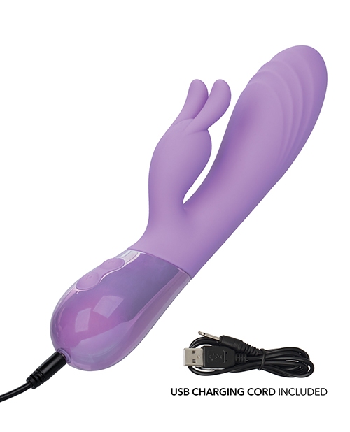 Buy Aura Dual Bunny