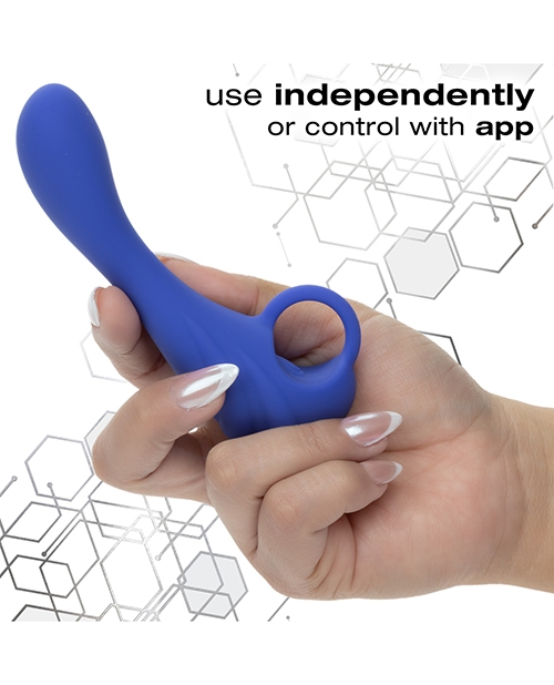 Buy Connect Calexotics Connect Explorer
