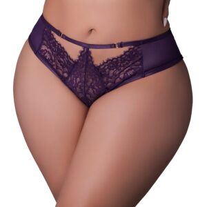 Purple Panties Leather & Lace Lace Cheeky Hipster Plum Size Q by Magic Silk