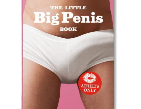 Buy  the little big penis book book for her.