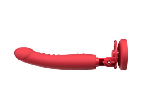 Buy a lovense mission 2 vibrator.