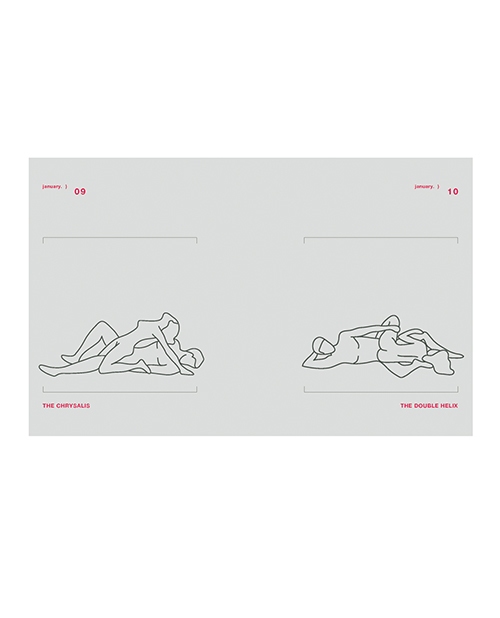 Position of the Day Sex Every Day in Every Way Book Revised and Updated for sale