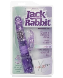 Buy Jack Rabbit Petite - Purple online