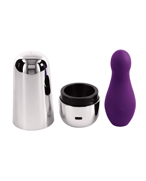 Buy Playboy Playboy Pleasure The Jet Set Vibrator - Acai/Silver