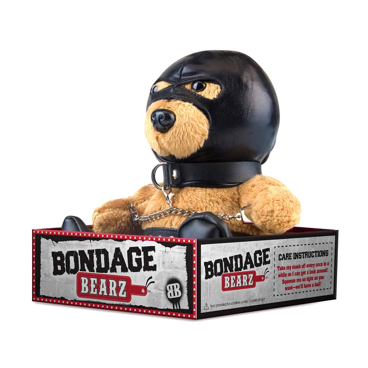 Buy  Bondage Bearz Sal Slave book for her.