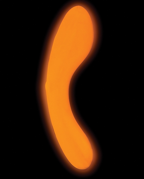 Shop The Mini Swan Wand Glow in the Dark - Orange