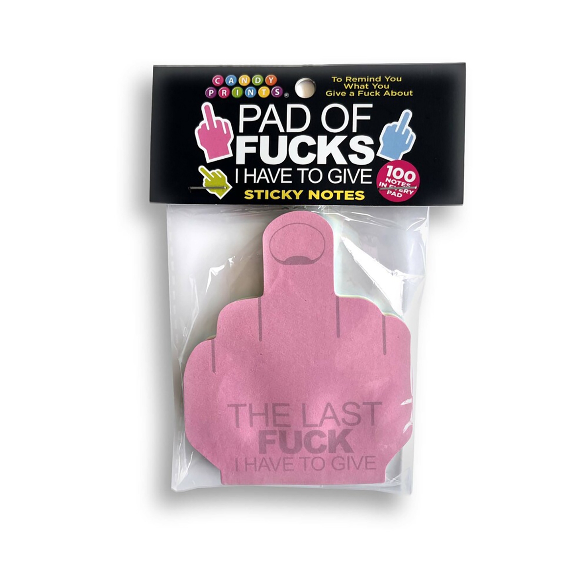 Buy  Last Fuck I Have to Give Sticky Notes book for her.