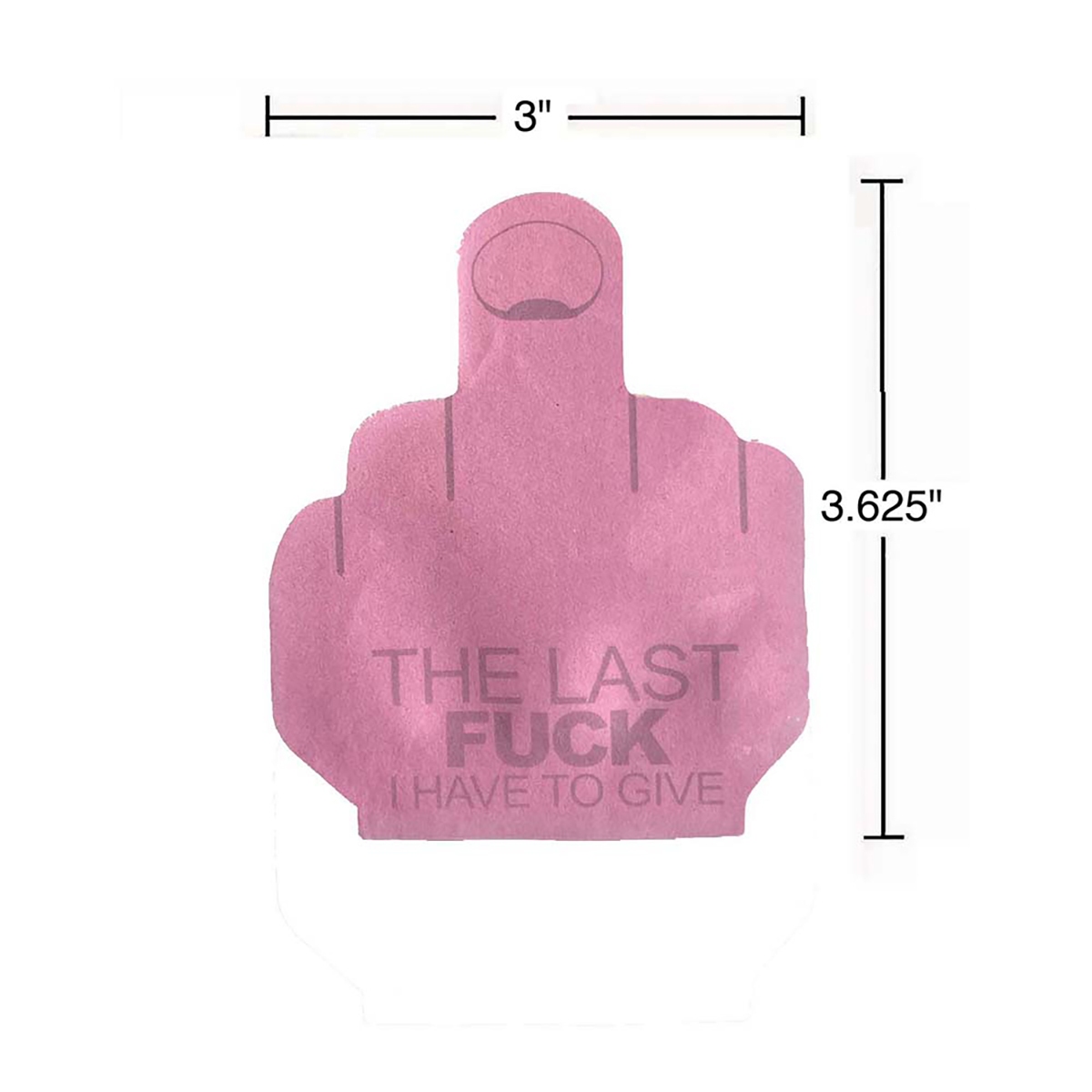 Buy  Last Fuck I Have to Give Sticky Notes book for her.