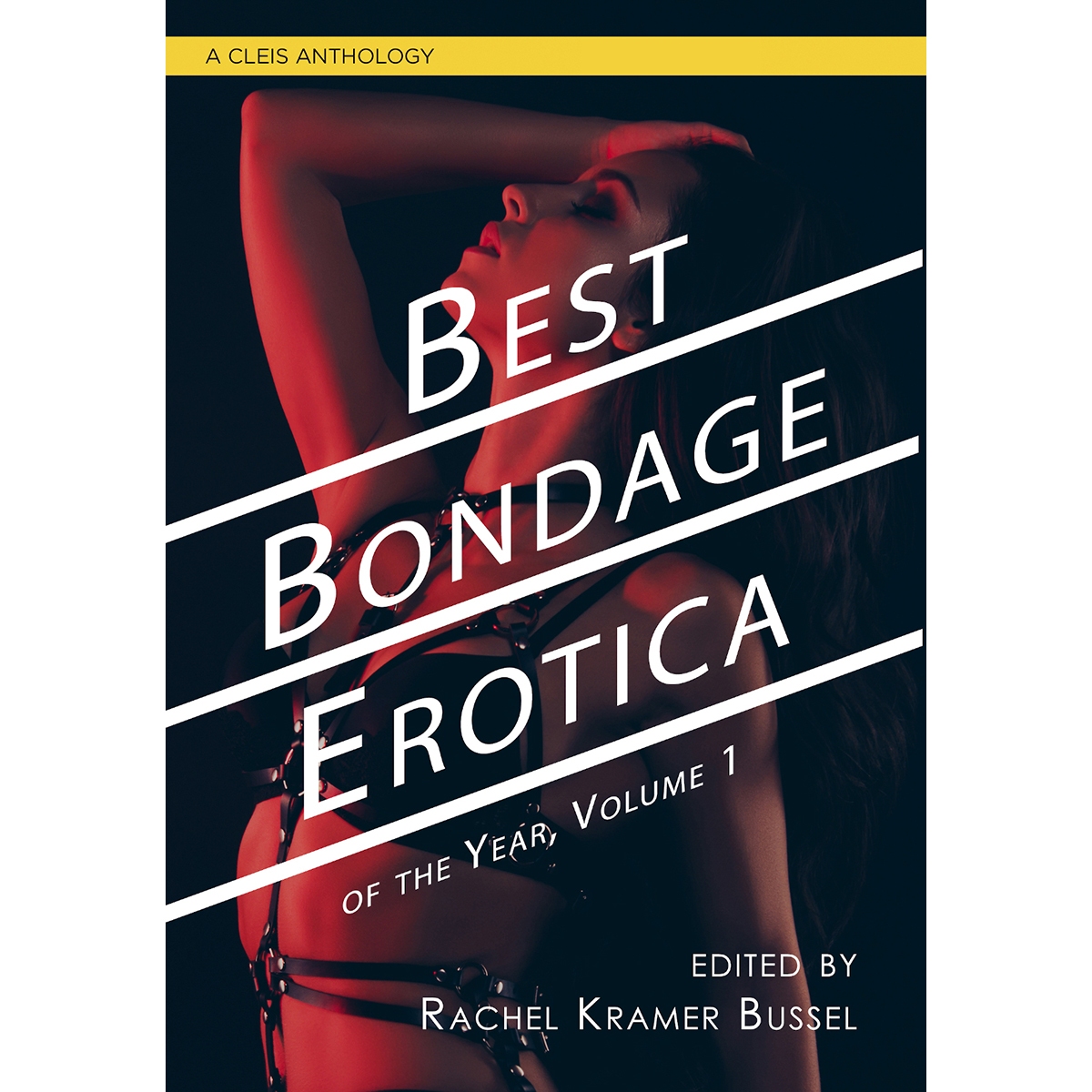 Buy  Best Bondage Erotica of the Year Vol 1 book for her.