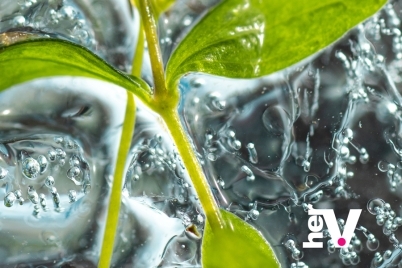 Organic sex lube buying guide image with a fresh green leaf, representing how to choose a natural sex lubricant for comfort and sensitive skin.