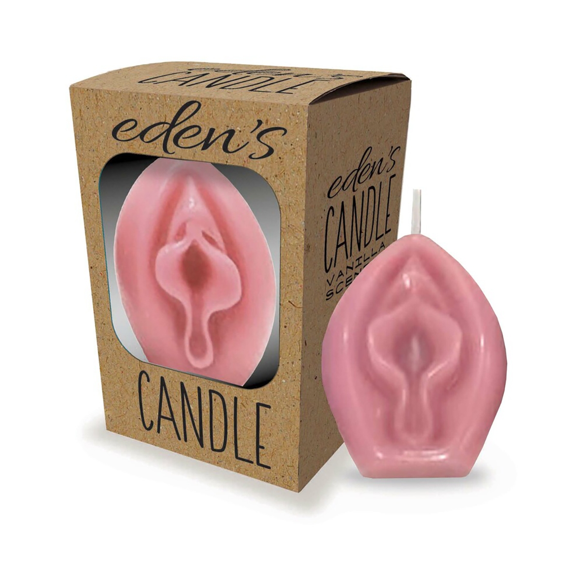 Buy  Eden's Vagina Candle Rose book for her.