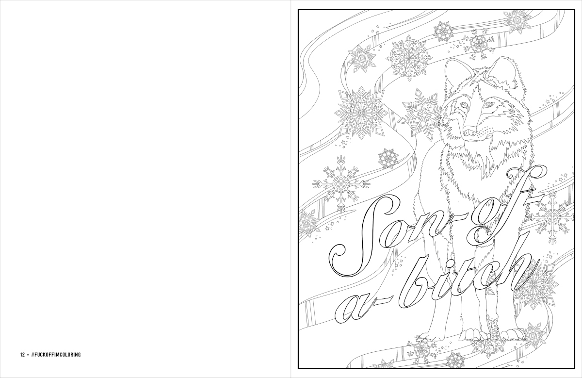 Buy  Fuck Off, I'm STILL Coloring Coloring Book book for her.