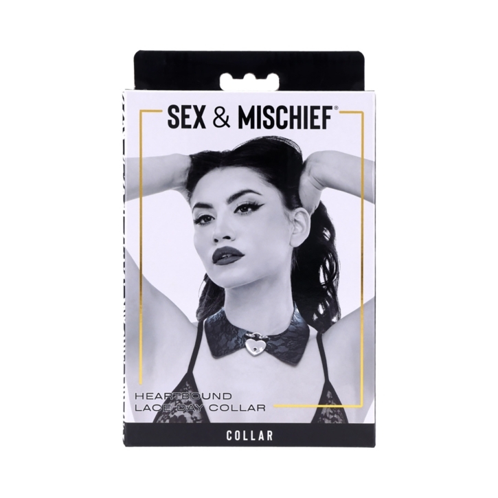 Buy  Sportsheets S&M Heartbound Lace Day Collar book for her.