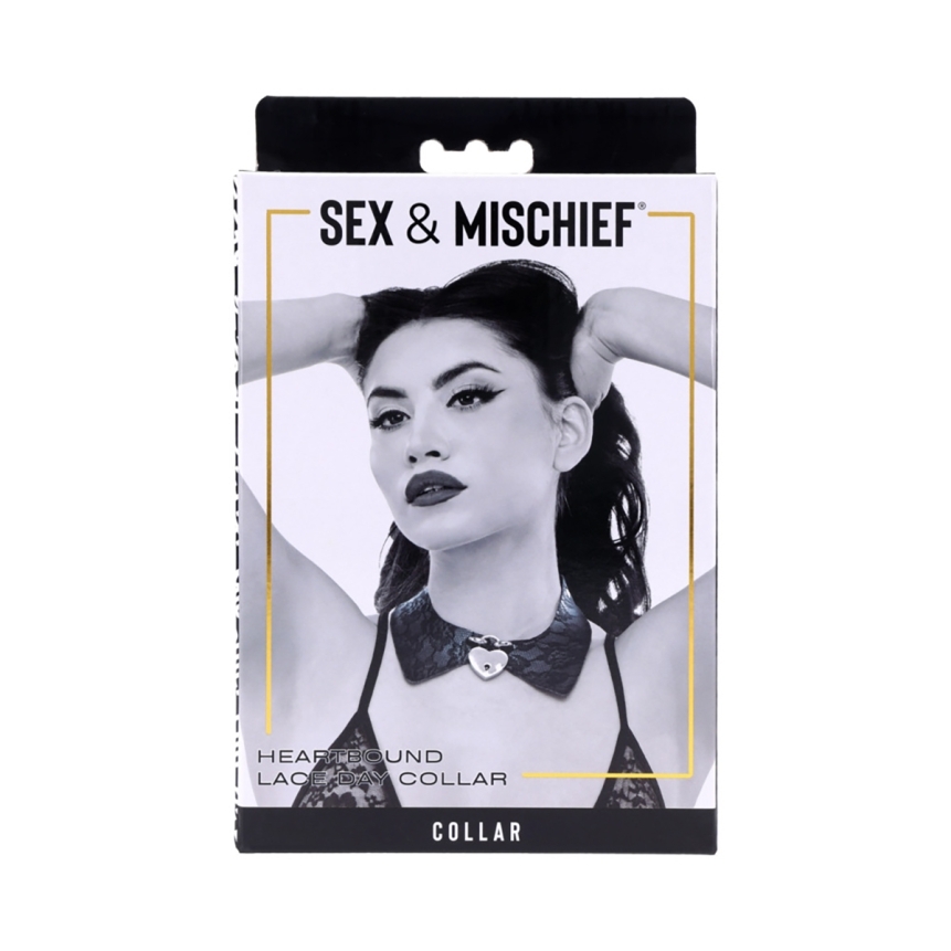 Buy  sportsheets s&m heartbound lace day collar book for her.