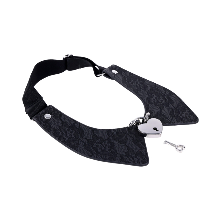 Buy  sportsheets s&m heartbound lace day collar book for her.