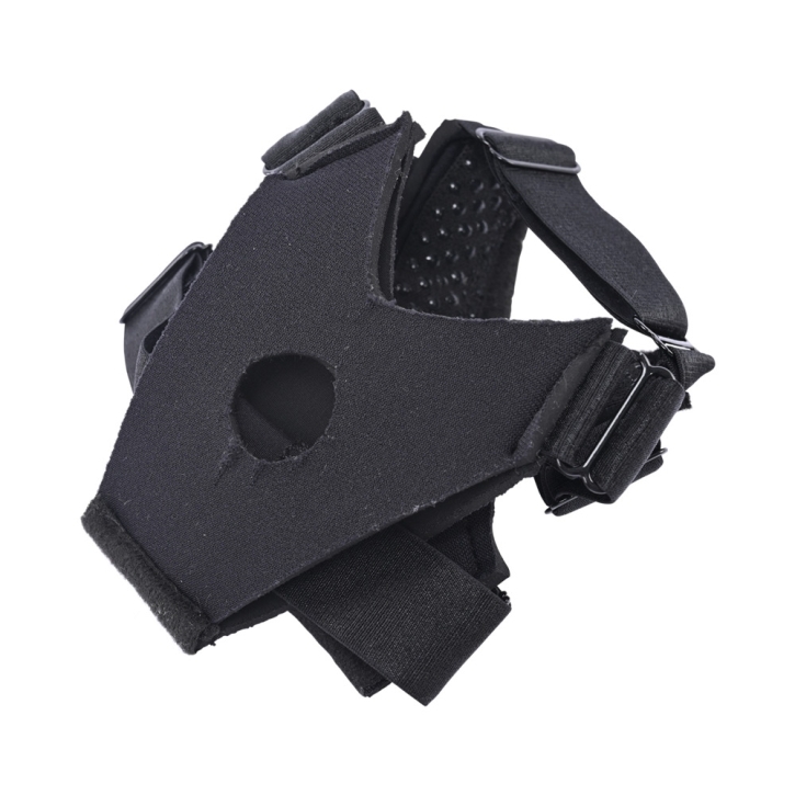 Buy  SS Pivot Flex Foot Strap On book for her.