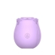 Buy a InBloom Rosales Sucking Vibrator  Lavender vibrator.