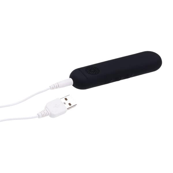 Buy a SS Pivot Flat Bullet Black vibrator.