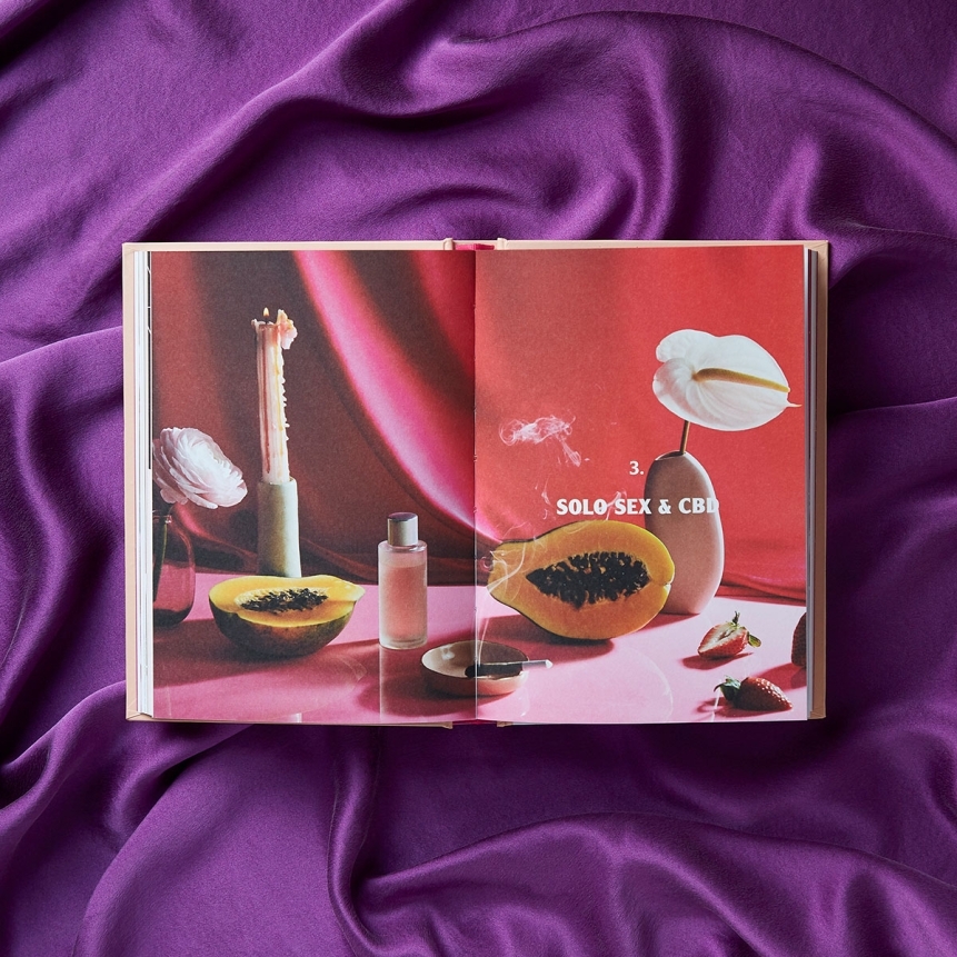 Buy how cannabis, cbd, and other plant allies can change your everyday life the cbd solution: sex book for her.