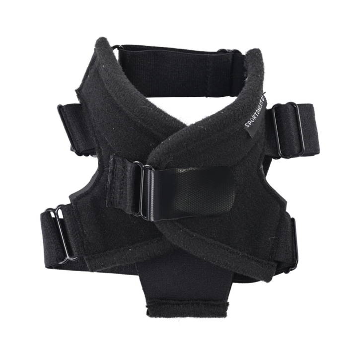 Buy  SS Pivot Flex Foot Strap On book for her.
