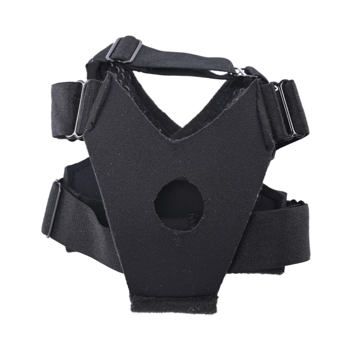 Buy  SS Pivot Flex Foot Strap On book for her.