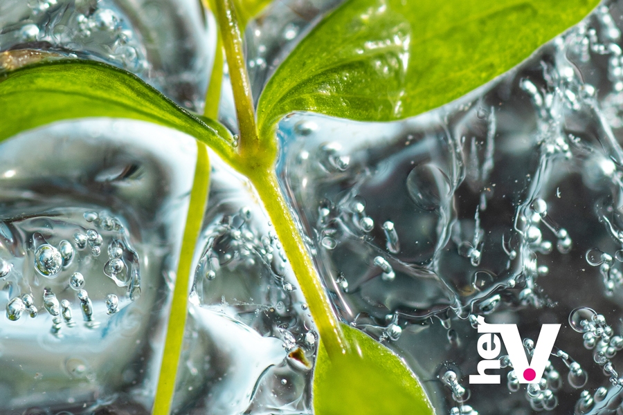 Organic sex lube buying guide image with a fresh green leaf, representing how to choose a natural sex lubricant for comfort and sensitive skin.