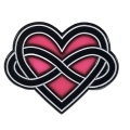 Buy  Geeky & Kinky Polyamory Pin book for her.